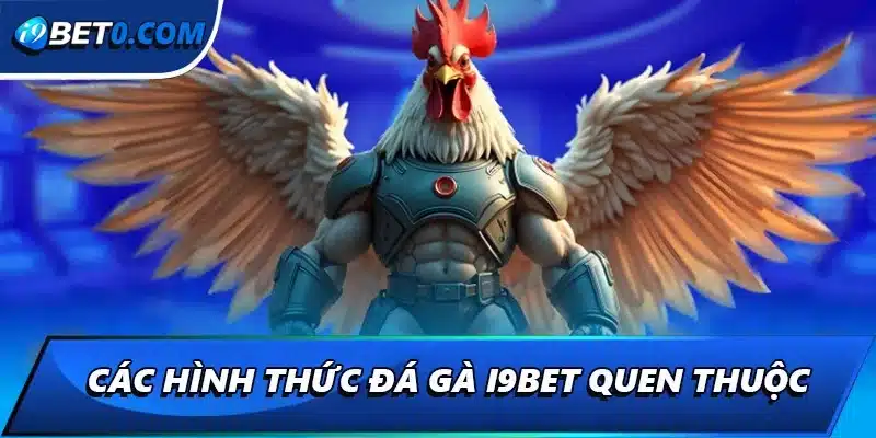 Các hình thức đá gà i9bet quen thuộc
