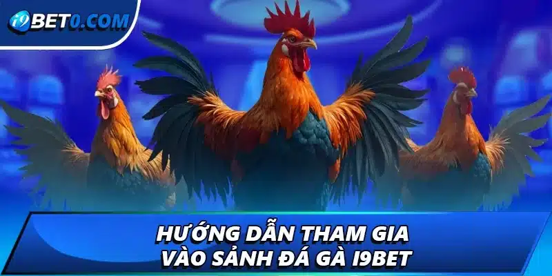 Hướng dẫn tham gia đá gà i9bet