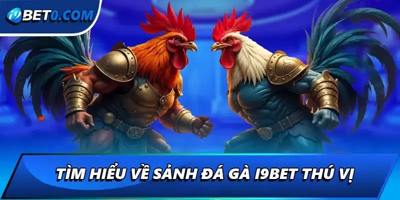 Tìm hiểu về sảnh đá gà i9bet thú vị